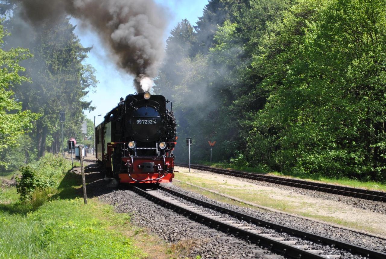 브라운라제 Harz-Rose 아파트 외부 사진